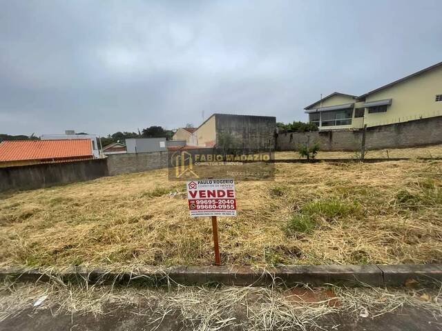 Terreno para Venda em São Pedro - 5