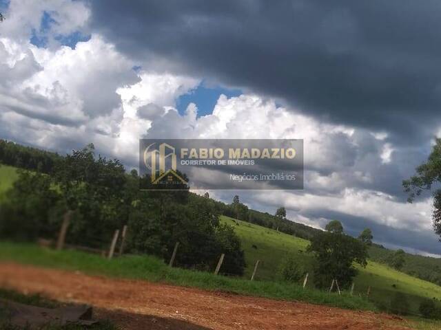 Sítio para Venda em São Pedro - 4