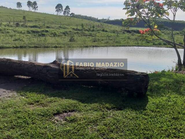Sítio para Venda em São Pedro - 5