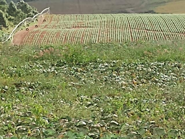 #618 - Fazenda para Venda em Poços de Caldas - MG