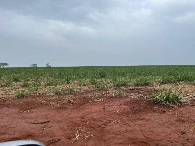 #620 - Fazenda para Venda em São Carlos - SP