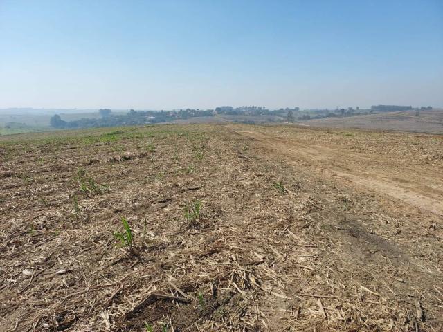 #634 - Fazenda para Venda em Torrinha - SP - 3