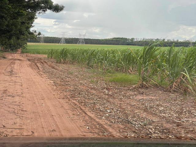 #636 - Fazenda para Venda em Rio Claro - SP - 1