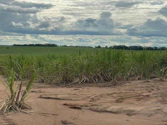 #636 - Fazenda para Venda em Rio Claro - SP - 2