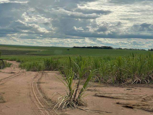 #636 - Fazenda para Venda em Rio Claro - SP - 3