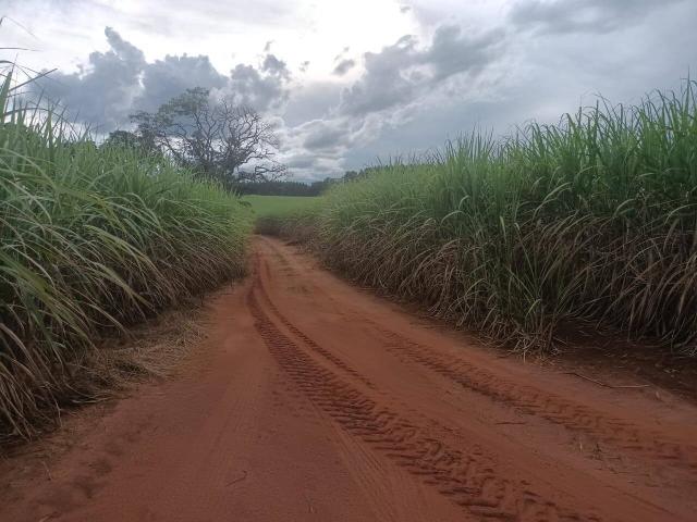 #651 - Fazenda para Venda em Piracicaba - SP - 2