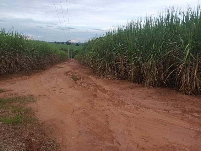 #651 - Fazenda para Venda em Piracicaba - SP