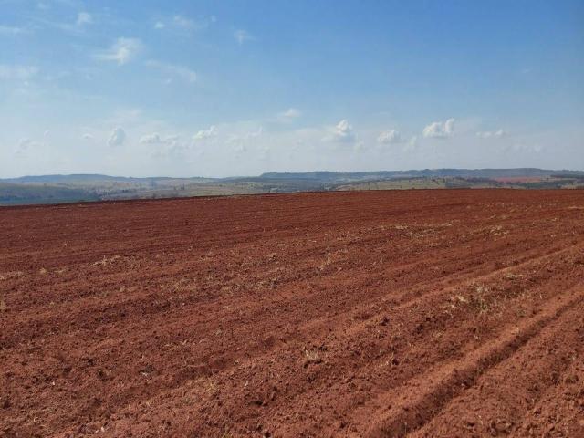 #658 - Fazenda para Venda em Prata - MG
