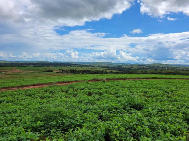 #658 - Fazenda para Venda em Prata - MG