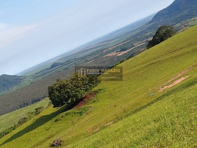 Sítio para Venda em Torrinha - 4