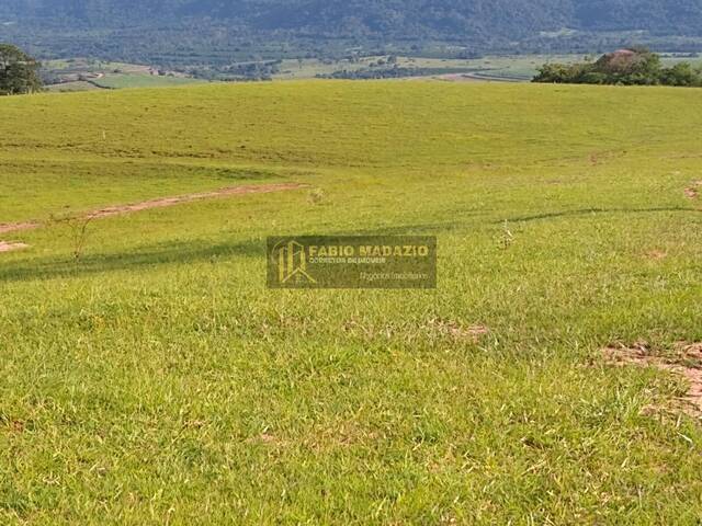 Sítio para Venda em Torrinha - 5