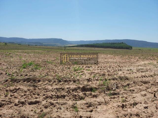 Sítio para Venda em São Pedro - 4