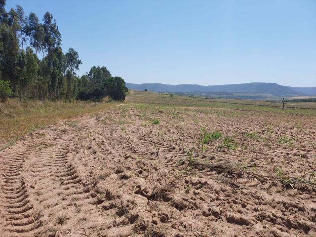 #679 - Sítio para Venda em São Pedro - SP - 3