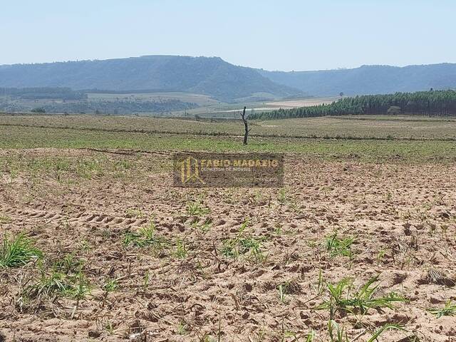 Sítio para Venda em São Pedro - 5