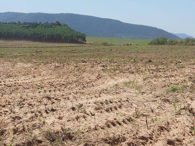 Venda em Área Rural - São Pedro