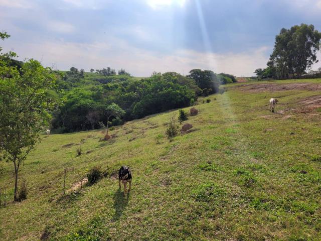 #685 - Chácara para Venda em São Pedro - SP