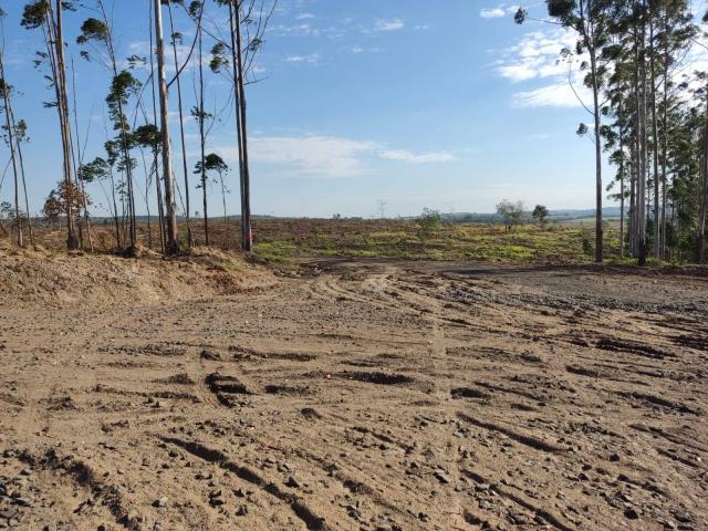 #707 - Fazenda para Venda em Tatuí - SP