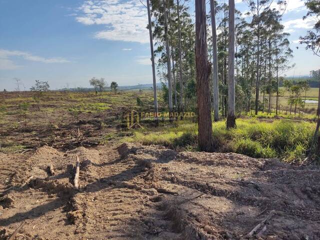 Fazenda para Venda em Tatuí - 4
