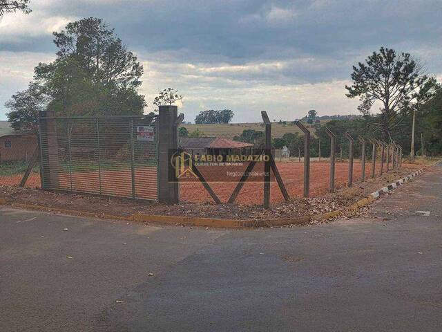 Terreno para Venda em São Pedro - 4