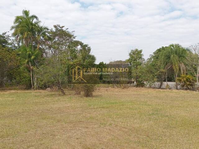 Chácara para Venda em São Pedro - 5