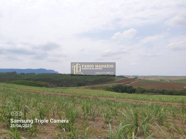 Sítio para Venda em Charqueada - 4