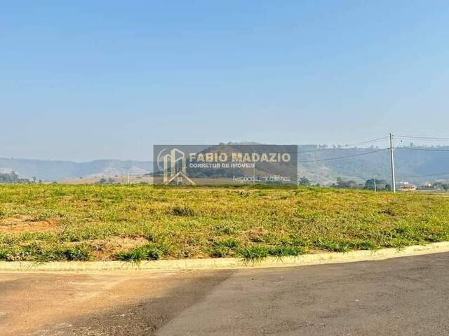 Terreno para Venda em São Pedro - 4