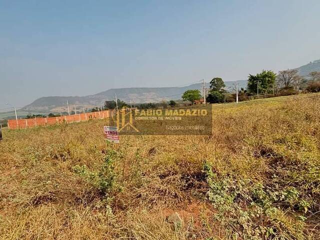 Terreno para Venda em São Pedro - 5