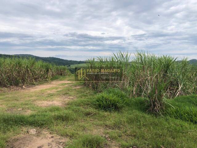 Fazenda para Venda em Piracicaba - 4