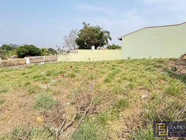 #793 - Terreno para Venda em São Pedro - SP
