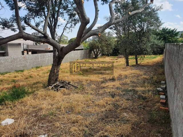 Terreno para Venda em São Pedro - 4