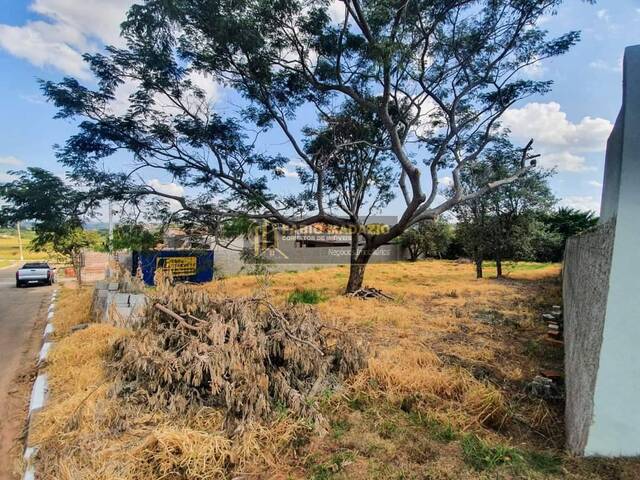 Terreno para Venda em São Pedro - 5
