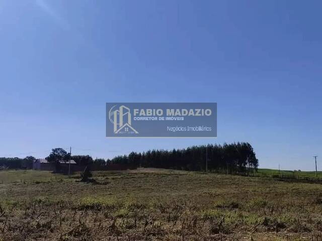 Sítio para Venda em São Pedro - 5