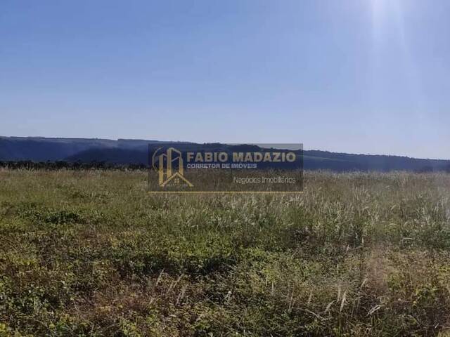 Sítio para Venda em São Pedro - 5
