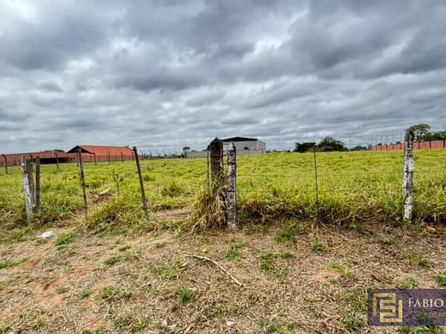 #802 - Terreno para Venda em São Pedro - SP