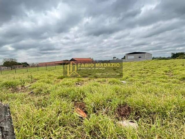 Terreno para Venda em São Pedro - 4