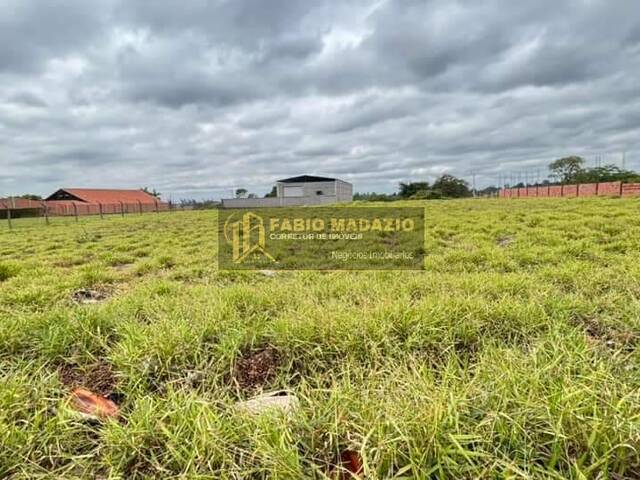 Terreno para Venda em São Pedro - 5