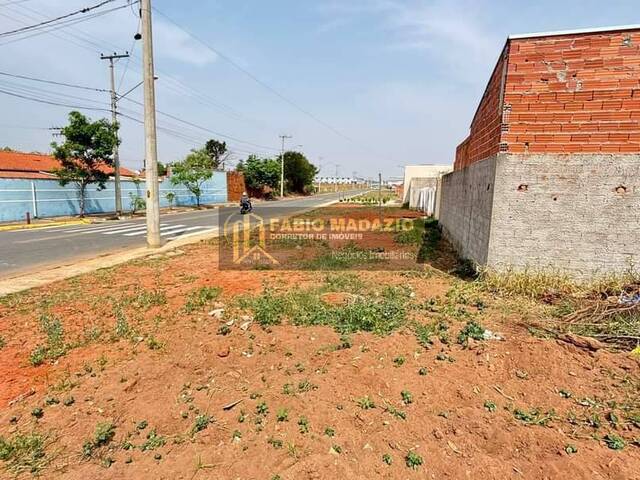 Terreno para Venda em São Pedro - 5
