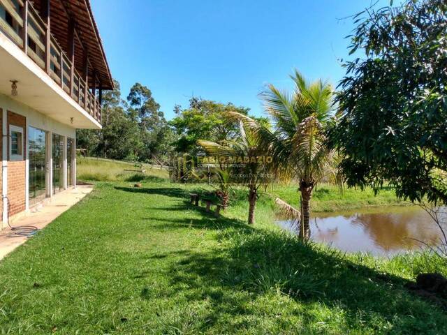 Sítio para Venda em São Pedro - 4