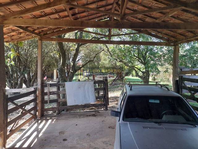 Sítio para Venda em São Pedro - 4