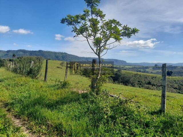 Sítio para Venda em São Pedro - 5
