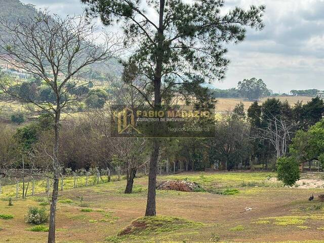 Chácara para Venda em São Pedro - 5