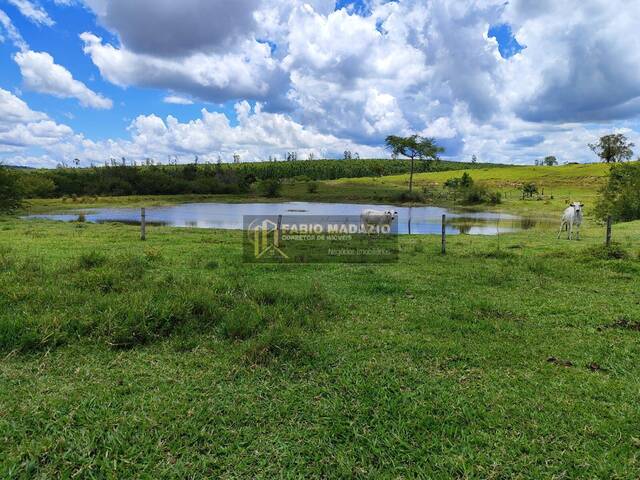 Fazenda para Venda em Botucatu - 4