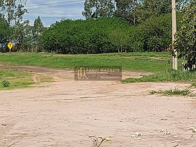 Sítio para Venda em Charqueada - 5
