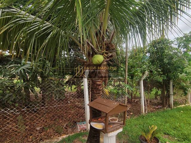 Chácara para Venda em São Pedro - 5