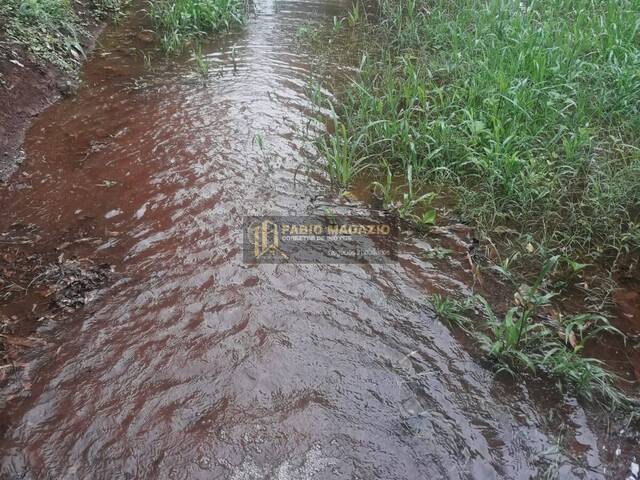 Sítio para Venda em São Tomás de Aquino - 4