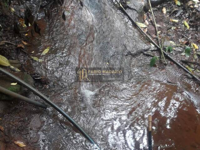 Sítio para Venda em São Tomás de Aquino - 5