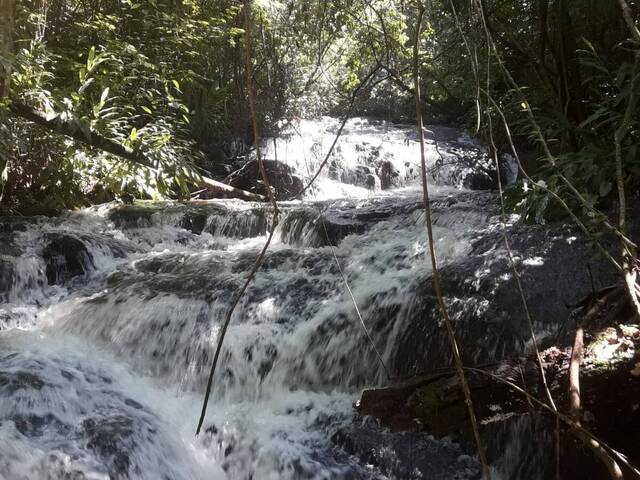 #900 - Sítio para Venda em São Tomás de Aquino - MG