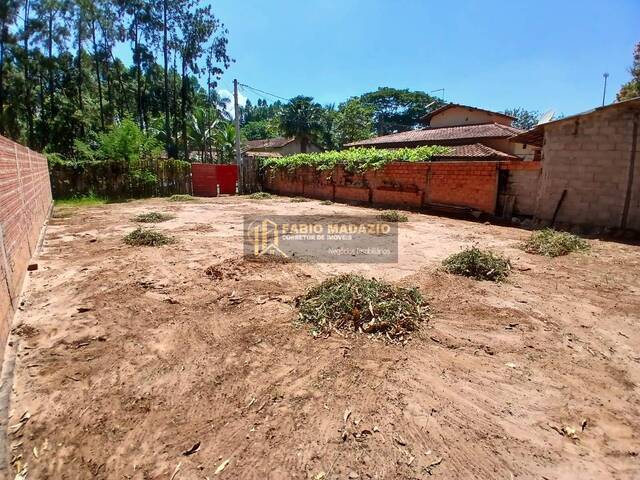 Terreno para Venda em São Pedro - 5