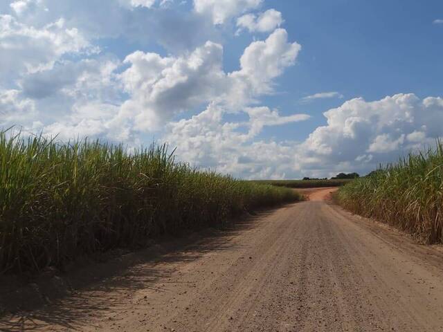 #917 - Sítio para Venda em Charqueada - SP