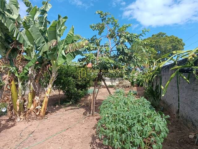 Terreno para Venda em São Pedro - 5